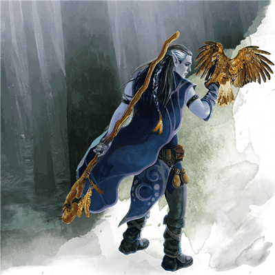 Druid Class