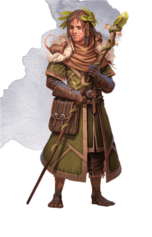 druid-land subclass