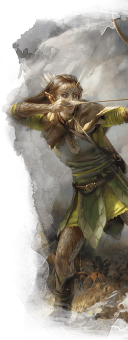 ranger-hunter subclass